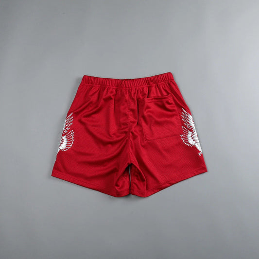 American Mesh Shorts For Men And Women